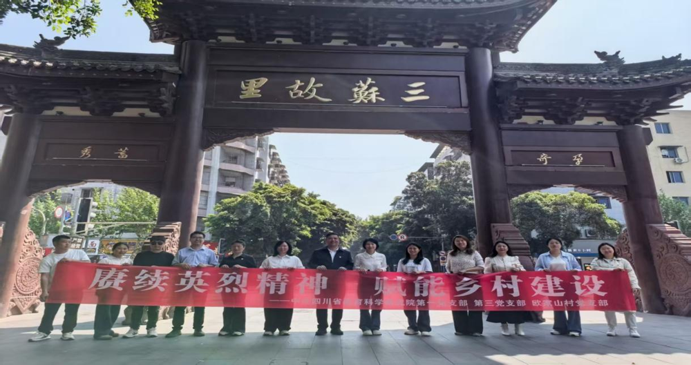图片4